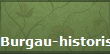 Burgau-historisch