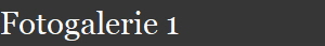 Fotogalerie 1