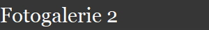 Fotogalerie 2