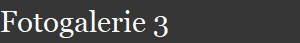 Fotogalerie 3