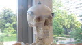 Fachbereich Biologie