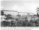 1960