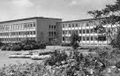 1964