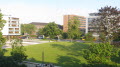 Blick in den Park